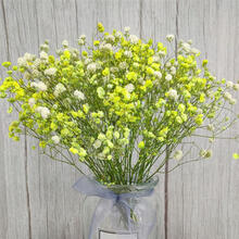 伊顺云南天然真花干花花束勿忘我家居装饰摆设客厅摆件小清新满天星瓶SN9632 黄色满天星【不带瓶】 干树枝