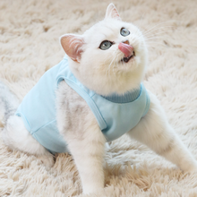 玉洋轩 猫咪绝育手术衣服狗狗母猫手术服断奶服生理服伊丽莎白圈升级猫藓皮肤病服猫咪绝育防舔服术后恢复服 蓝色L（背长35-42胸围38-46，约11斤内）
