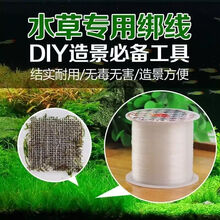 大三角莫斯水草活体摩丝真水草沉木莫丝鱼缸水族箱造景装饰 莫斯绑线