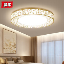 晨本 led卧室吸顶灯温馨浪漫鸟巢创意儿童房间灯阳台玄关过道北欧简约现代客厅灯圆形三色变光超薄灯具灯 鸟巢款39cm-白框30W白光