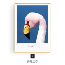 【鑫之恋女装】价格_图片_品牌