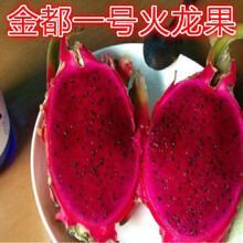 【黄心火龙果】价格_图片_品牌