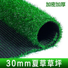 仿真草坪地毯塑料假草皮绿植人造草坪室内阳台户外人工草坪幼儿园假草坪围墙草皮装饰绿色垫子 30mm加密夏草色 10平米 2*5米