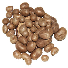 新鲜铁棍山药豆大号陈集淮山药蛋怀三约糖葫芦果菏泽特产 5kg