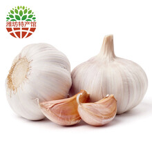 潍坊馆 顺丰配送 大蒜2.5kg新鲜蔬菜 干大蒜大蒜头农家种植