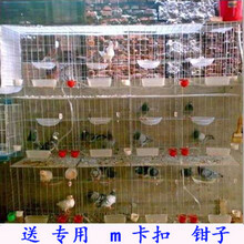 鹏实笼/养殖鸽笼/16笼位鸽子笼/12位鸽笼 1.5米配对笼 广式肉鸽笼 鸽子笼家用笼子养殖围栏 16笼位带配件
