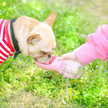 狗狗喝水器泰迪宠物外出饮水器喂水关爱随行杯金毛户外便携猫咪水杯水壶 粉红色