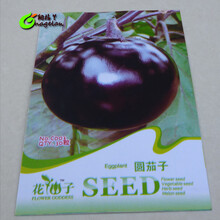 纳格兰 茄子种子 鸡蛋茄 长茄 圆茄种子 庭院阳台盆栽蔬果蔬菜种子 蔬菜种子 圆茄子
