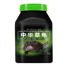 德瑞中华草龟水龟粮食物巴西龟小乌龟甲鱼墨龟饲料火焰金线龟 草龟乌龟大粒600g