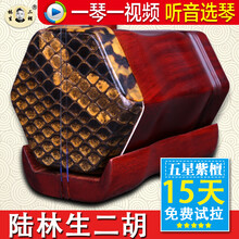 依之木 陆林生五星紫檀/红木二胡 专业演奏二胡 陆林生二胡 五星紫檀二胡