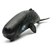 英国CollectA我你他 收藏级仿真实心动物海洋鲸鱼鲨鱼模型 恐龙野生动物科普教育玩具 抹香鲸