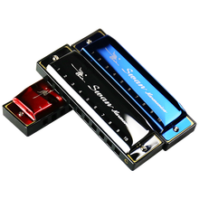 天鹅（SWAN） 10孔布鲁斯口琴C调蓝调初学入门银色金色可选十孔小规格口琴小10孔口琴 【拍下打折】银色标配