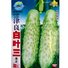 一播大地（正常发货）水果黄瓜种子黄瓜翠绿四季种植蔬菜种子 阳台种菜 盆栽 易种 荷兰水果黄瓜原包 白叶三白皮黄瓜种子 原包装