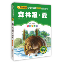 森林报·夏（彩图注音版）小学生语文新课标必读丛书