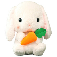 可爱兔子公仔抱枕小白兔毛绒玩具垂耳兔公仔布娃娃玩偶节日礼物女生 胡萝卜垂耳兔 45cm（送自己）