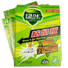 绿叶粘鼠板灭大老鼠贴粘鼠胶夹捕鼠器药粘板家用室内强力捕捉神器花生味 10张