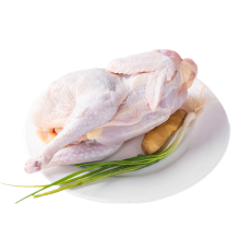 九華粮品 有机散养老母鸡 净重850g以上 整只装 土鸡 500天有机散养