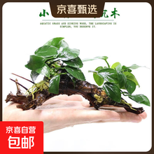 #RemHtml($!{product.content.wareName})