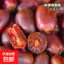 #RemHtml($!{product.content.wareName})