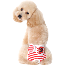 宠物狗狗生理裤泰迪卫生裤月经裤母狗生理期用品内裤姨妈裤子公主短裤大姨妈例假安全裤大中小型犬 红色 M - 腰围30-35CM