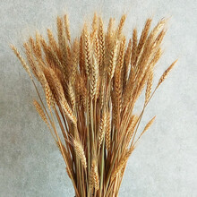 雅兰阁小麦干花天然植物艺术摆放装饰麦拍摄干花大麦 麦穗道具天然麦穗 原色100根左右 干花包