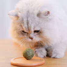 Hoopet猫玩具逗猫棒磨牙猫薄荷棒棒糖猫零食玩具球小猫咪幼猫玩具 薄荷球18g（玩具）