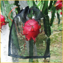 百万葵园 尼龙网袋尼龙种子袋浸种袋袋子防虫袋果树火龙果套袋 火龙果专用25*25白色100条