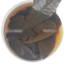 青钱柳茶青钱柳青钱柳叶茶500g