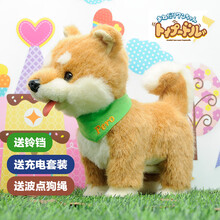 IWAYA 日本 会舔人的小狗 电动玩具狗 泰迪柴犬秋田犬大号智能儿童狗会走会叫会摇尾巴伸舌狗 柴犬 送充电套装+狗绳+大铃铛