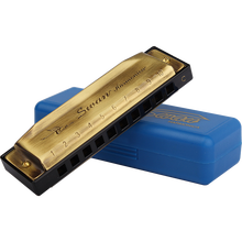 天鹅 口琴10孔布鲁斯口琴初学儿童成人入门专业演奏十孔口琴蓝调 古铜色