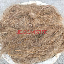 西芝 垫网 鸽笼砂杯沙盒 粪板  鸽子窝 饮水管  三通管宠物用品 防侧翻大油草窝10个