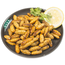 海味先生 新鲜桑蚕 小蚕 黄金蛹 金丝蛹 1000g 袋装123