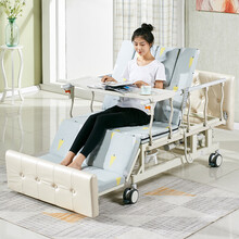 长寿泉 电动护理床家用全曲病床老人手动电动医用床 手电一体D09（半翻身）
