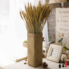 天然麦穗真花干花花束 家居摆放开业大麦大卖礼品花束 麦穗稻穗小麦天然植物标本幼儿园自然角装饰拍照道具 干花小麦200支（不含编织瓶）