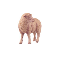仿真山羊模型绵羊藏羚羊羊驼 野生动物模型仿真小羊玩具 儿童认知玩具3-10岁 美利奴羊