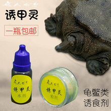 甲鱼小药 甲鱼饵水鱼鳖脚鱼团鱼甲鱼钩诱钓药水钓甲鱼饵料添加剂 诱甲灵（粉剂） 2瓶