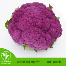 紫色花椰菜 价格 图片 品牌 怎么样 京东商城