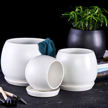 ins球形陶瓷花盆北欧轻奢简约创意黑色白色灰色多肉绿萝轻奢蝴蝶兰其他 白色亚光 大号