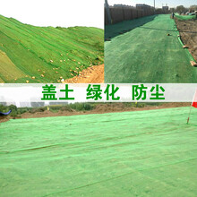 2针3针4针6针黑绿色盖土网 绿化网 防尘网 工地覆盖网 聚酯盖沙网 4针8米宽30米长