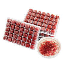 大家洼冷冻红虫冰冻血虫冻赤虫红线虫丰年虾罗汉鱼七彩鱼血鹦鹉鱼食鱼饲料六角龙饲料红虫干 冷冻保鲜血红虫100g*6板