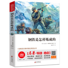钢铁是怎样炼成的 七年级 无障碍阅读+中考真题 统编语文教材指定
