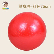 儿童健身球大龙球幼儿园感统训练宝宝感统锻炼环保按摩球玩具 75cm红色健身球