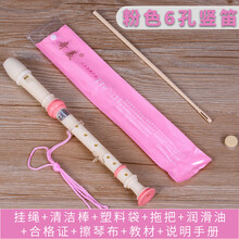 奇美高音德式竖笛6孔8孔学生儿童初学者六孔八孔成人零基础竖笛子 粉色6孔标配+吹奏说明+清洁布