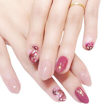 孜甲花假指甲贴穿戴甲片可穿戴可拆卸可以摘戴美甲成品抖音同款网红 图五款小号