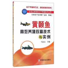 黄颡鱼高效养殖致富技术与实例