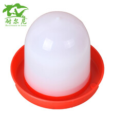 耐尔尼 鸡饮水器 鸡自动饮水器 小鸡鸭鹅雏鸡饮水桶 鸡用水槽 饮水壶 养鸡设备 白帽鸡饮水桶