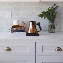 【原厂保修一年】Fellow Stagg EKG智能细嘴咖啡壶电子温控手冲壶快煮壶可保温不锈钢快煮壶 玫瑰金色-900ml