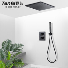 鼎菲（Tenfe）智能恒温洗澡神器家用入墙式隐藏嵌入式增压喷头精铜混水阀 A3吸顶2功能套装-12寸顶喷+手持