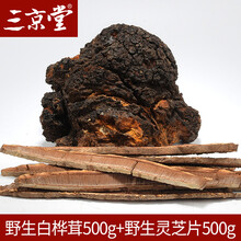 三京堂 野生平盖灵芝整枝 长白山树舌灵芝片青芝茶可搭林芝孢子粉 健康养生【灵芝片500g+桦树茸500g】 野生灵芝