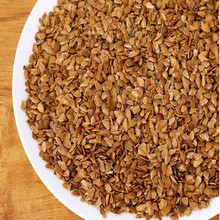 仟草集 批发 红油香椿种子 芽苗菜专用 阳台菜园 香椿树种 净籽 林木种子 散装 香椿种子 带皮一斤